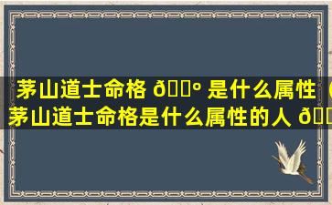 茅山道士命格 🌺 是什么属性（茅山道士命格是什么属性的人 🕊 ）